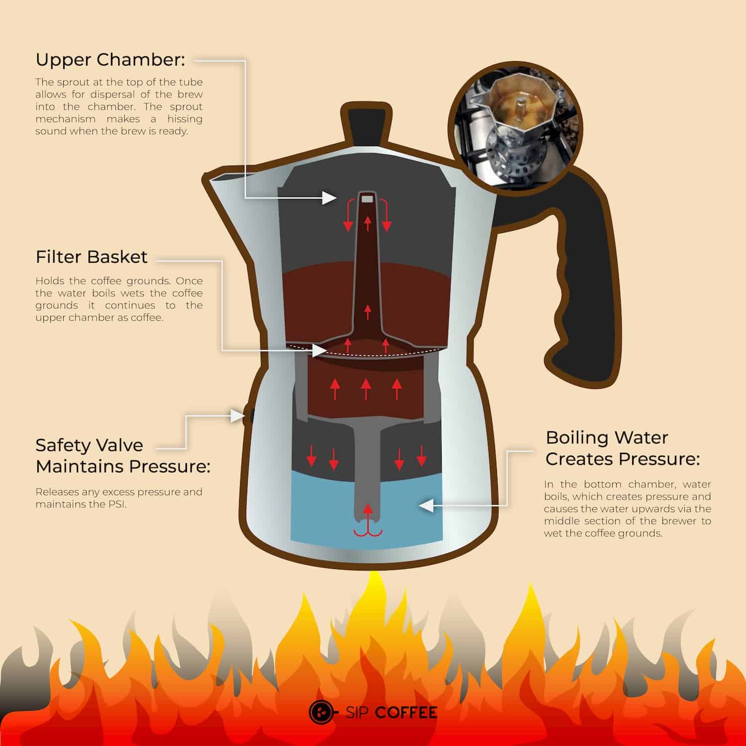 Moka Pot Vs French Press [Updated December 2024]