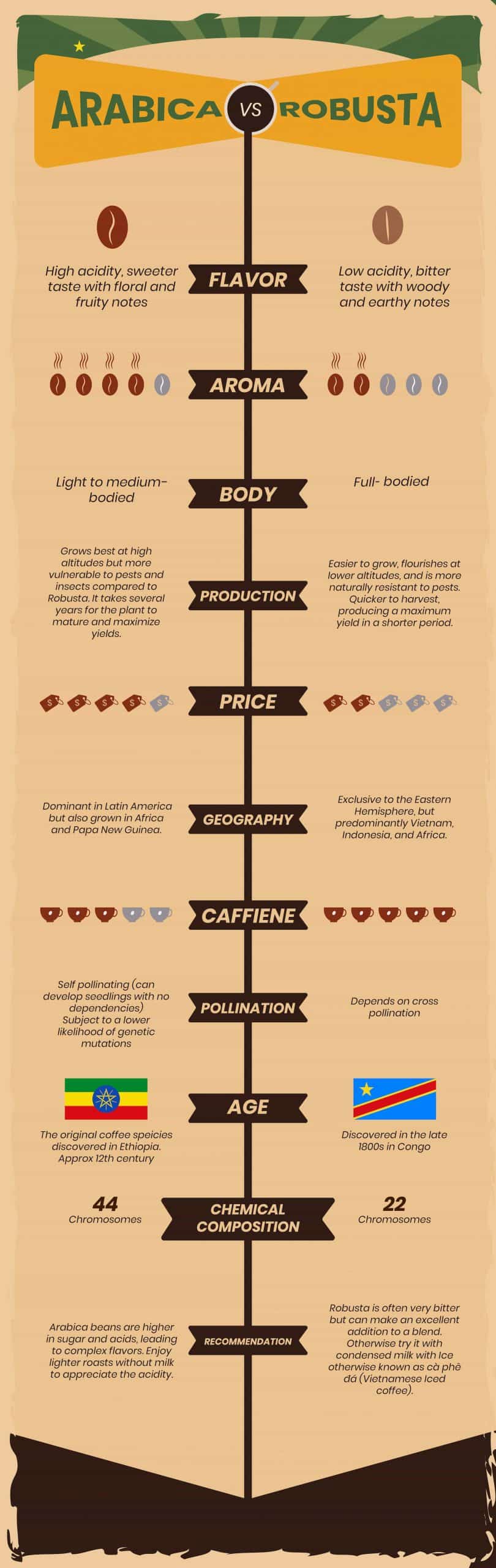 difference between arabica and robusta infographic