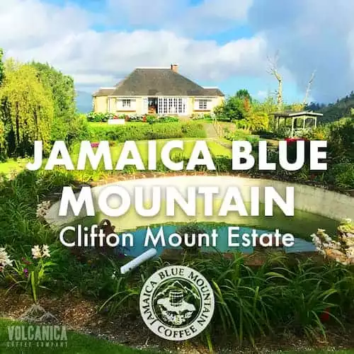 100% JBM, Clifton Mount Estate
