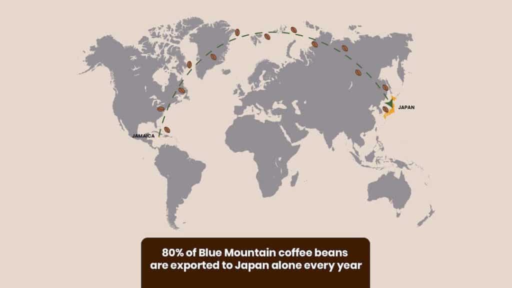 JBM Export map