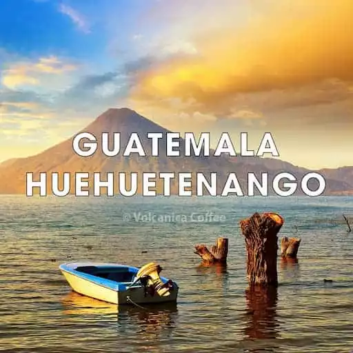 Guatemala Huehuetenango Organic Coffee