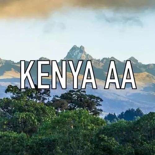 Volcanica - Kenyan AA Medium Roast