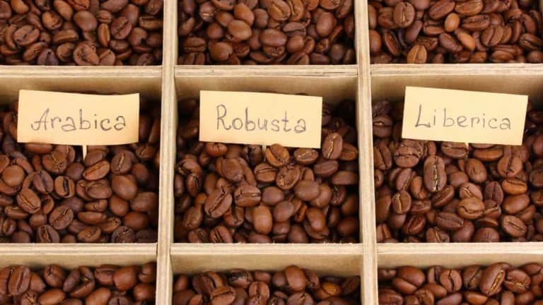 Different Types Of Coffee Beans
