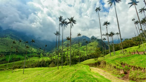 colombian landscape