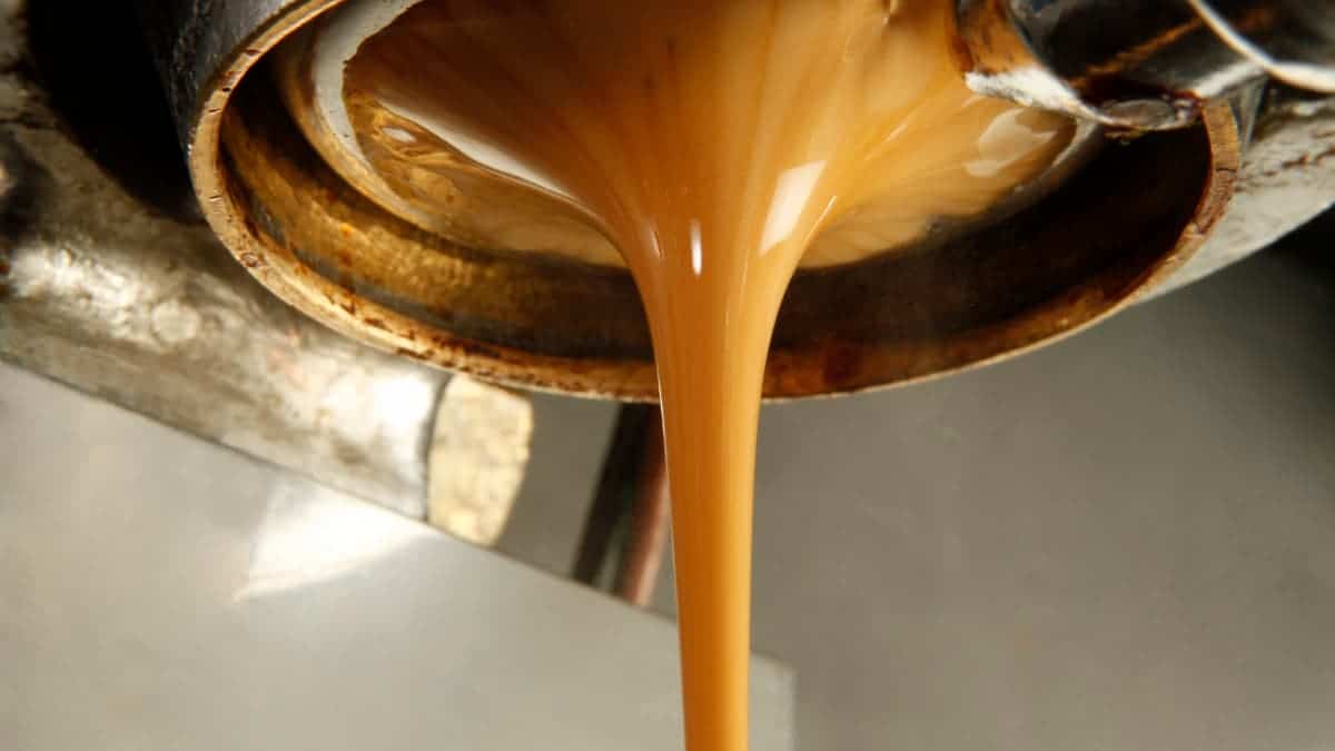 brew dripping from naked portafilter
