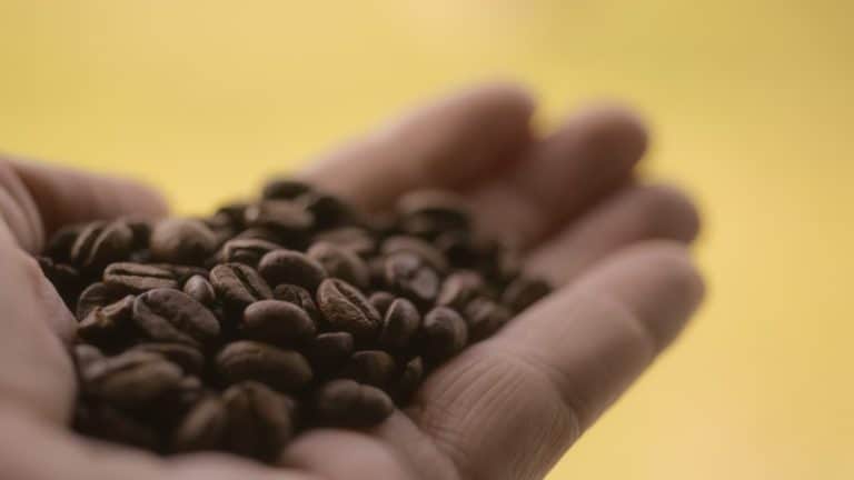 Espresso Beans VS Coffee Beans: What’s The Difference?