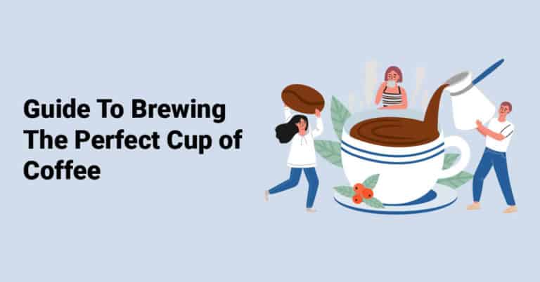 Guide To Brewing The Perfect Cup of Coffee