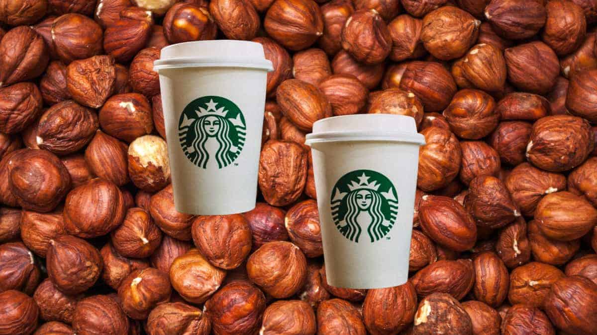 starbucks hazelnut drinks