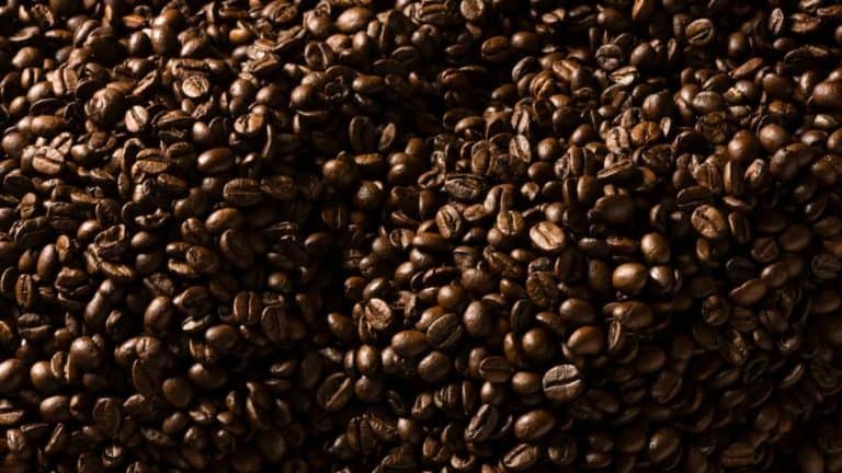 11 Best Dark Roast Coffee Brands 2023