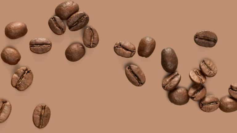 Can You Eat Coffee Beans?