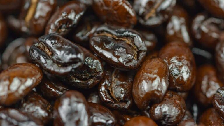 Are Oily Coffee Beans Any Good? 