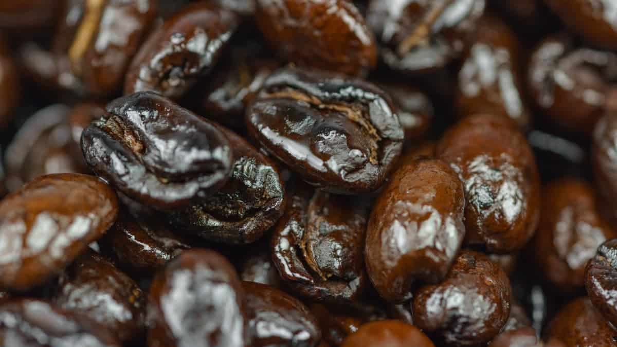 Oily coffee bean