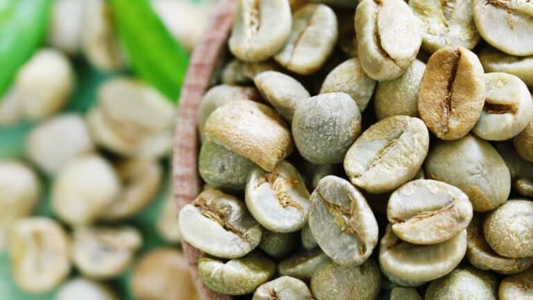 10 Green Coffee Bean Extract Benefits: The Science
