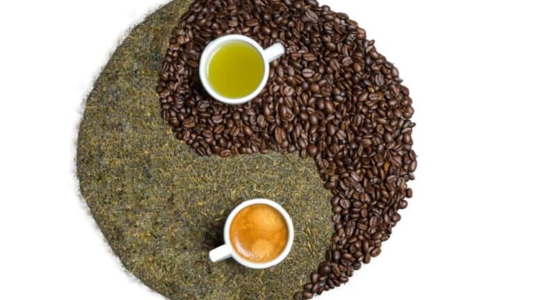 Black Tea VS Coffee Compared: Caffeine Content, Flavor & More