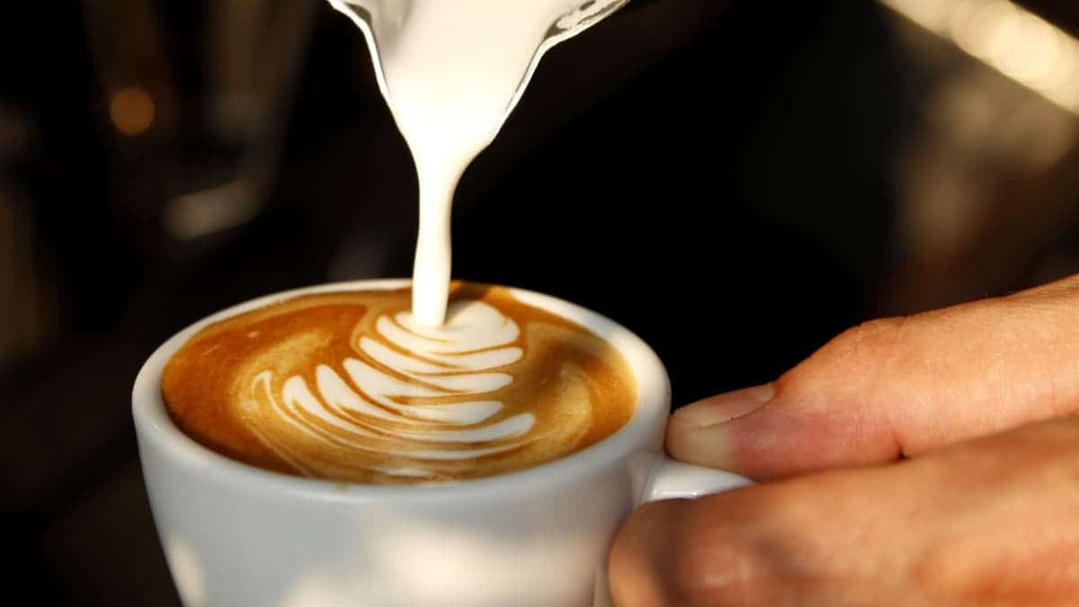 caffeine in lattes