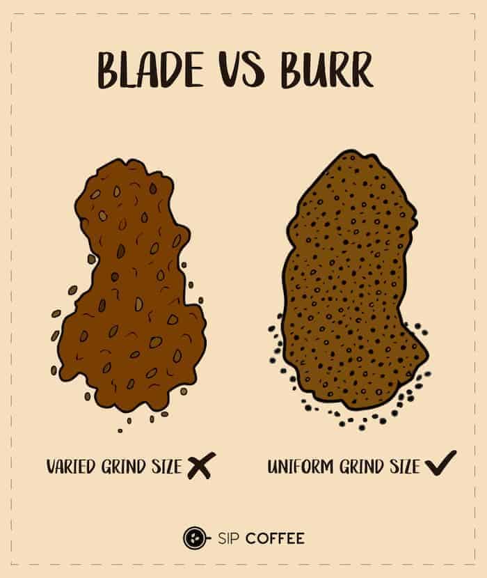 blade-vs-burr