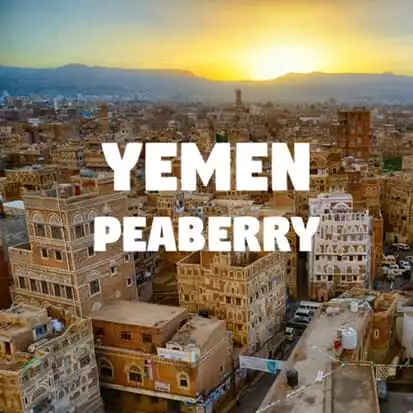 Yemen Peaberry Coffee | Volcanica